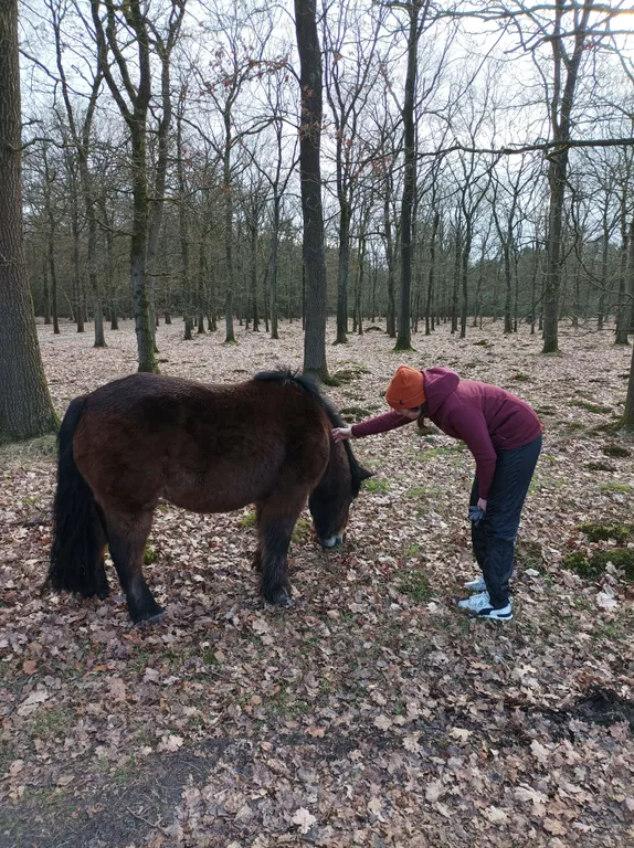 Miriam streichelt ein Pferd in einem Wald