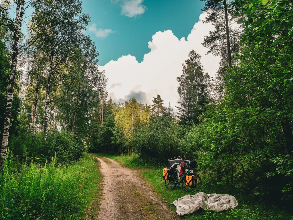 Mein Fahrrad steht am Wegesrand im Wald. Daneben liegt mein Überzelt zum Trocknen