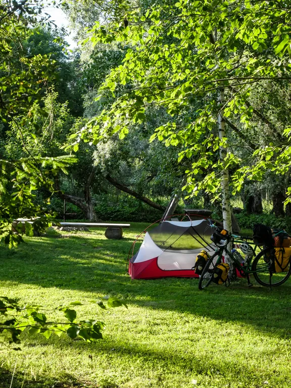 Zwischen Bäumen steht mein Zelt und mein Fahrrad auf einer Wiese.