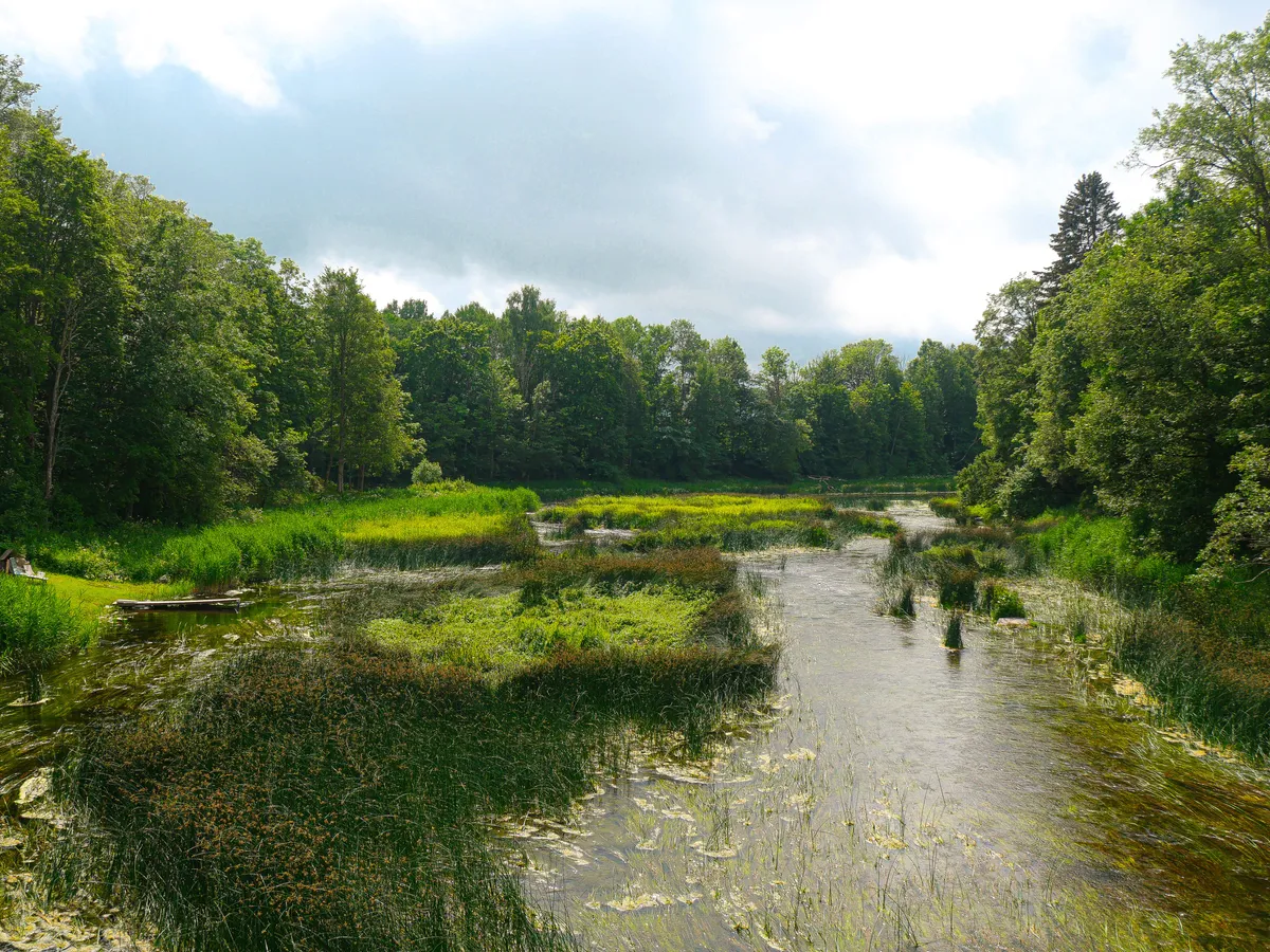 Aussichst auf einen Fluss von einer Brücke.