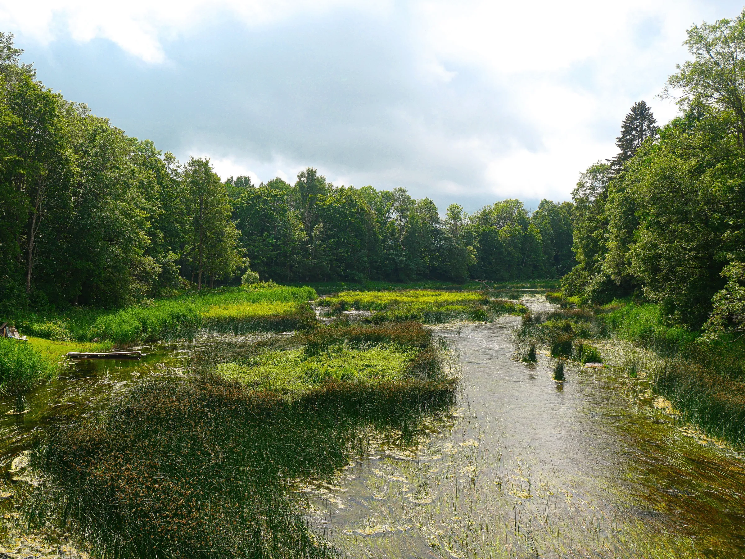 Aussichst auf einen Fluss von einer Brücke.