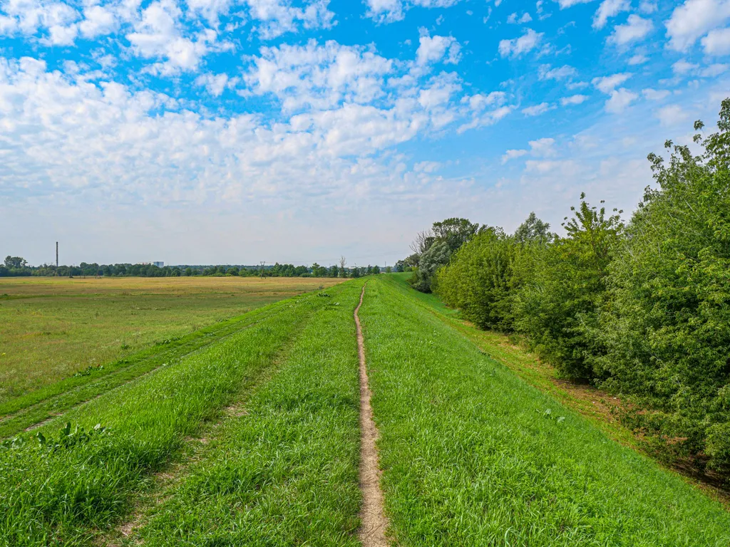 Single Trail am Hochwasserdamm am Fluss Narew