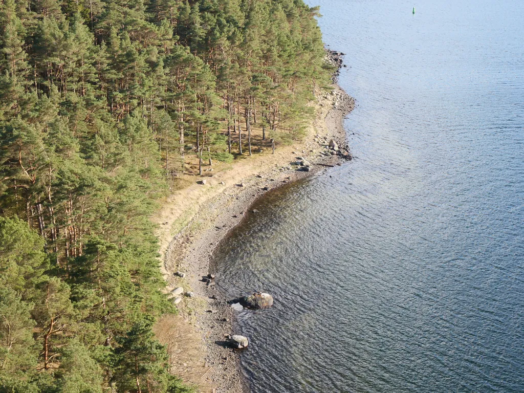 Strand eines Fjords von Oben. Die linke Hälfte des Bildes zeigt einen Wald, die rechte Hälfte das Meer. Dazwischen ist ein kleiner Abschnitt von Sand zu sehen.
