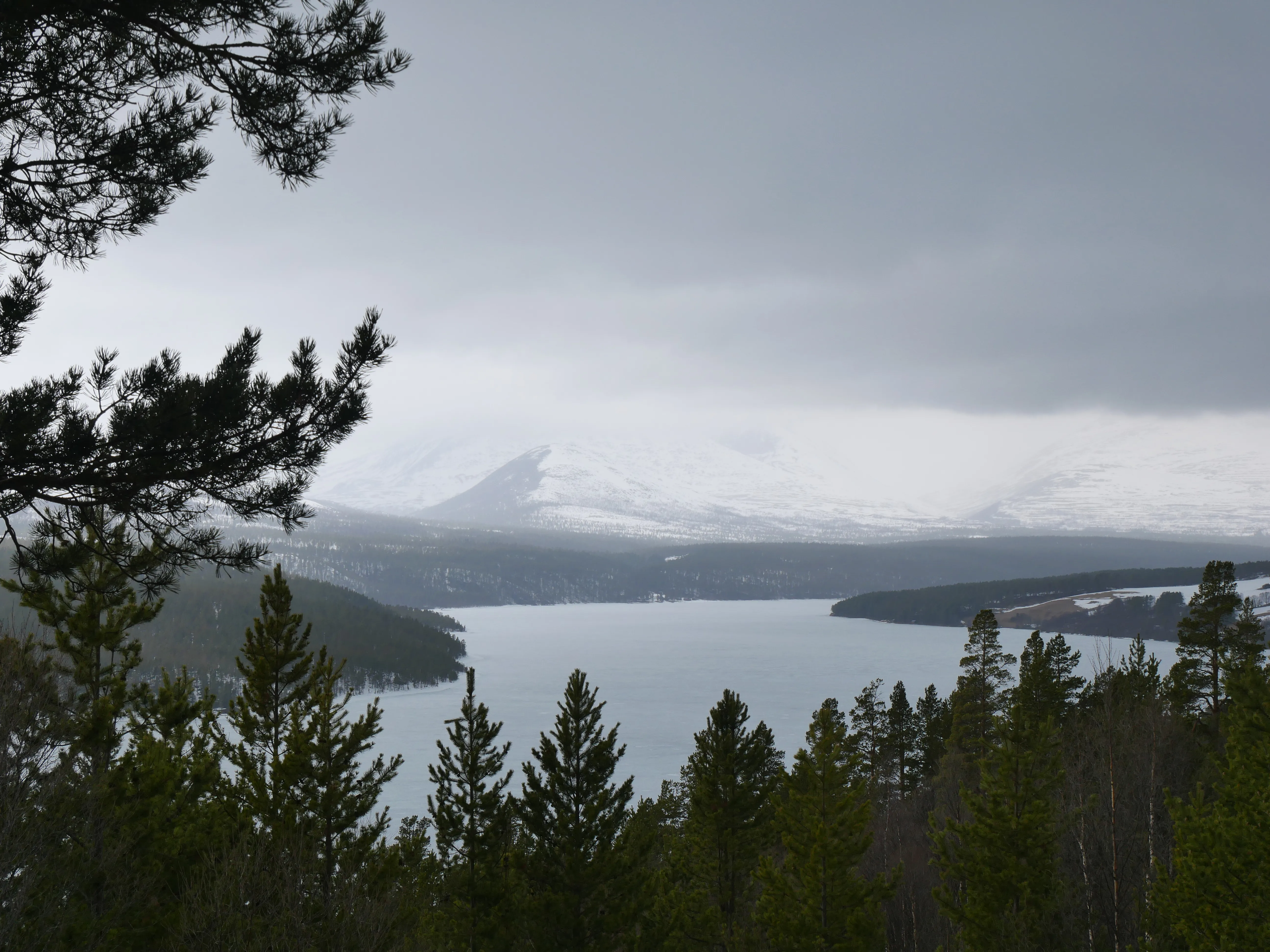 Durch Äste von Nadelbäumen hindurch ist ein Fluss zu sehen. Am Horizont sind durch die grauen Wolken gerade noch so schneebedeckte Gipfel zu erkennen.