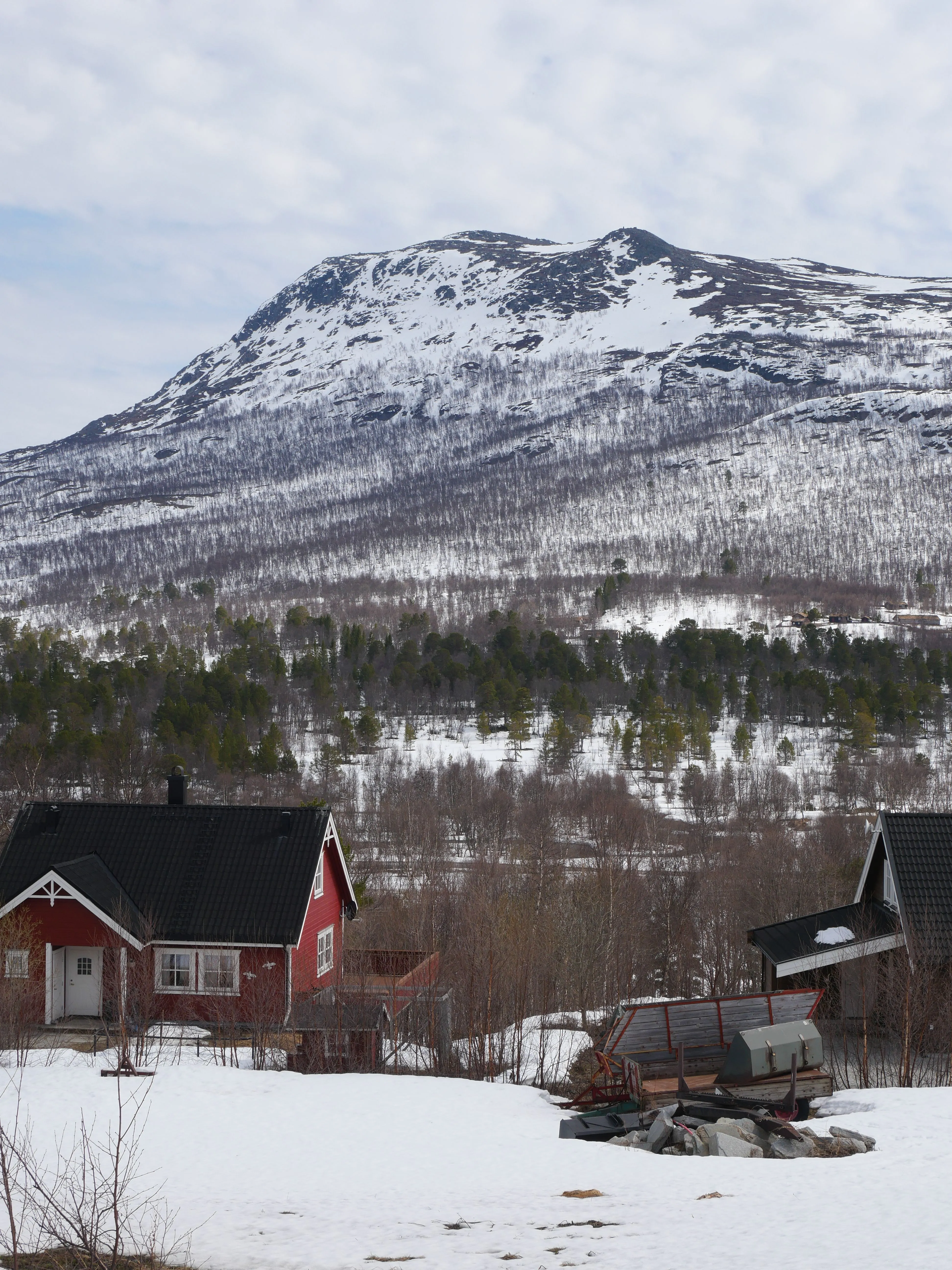 Zwei traditionelle, rote, norwegische Häuser stehen im Schnee. Dahinter ein Wald und dahinter ein schneebedeckter Berg.