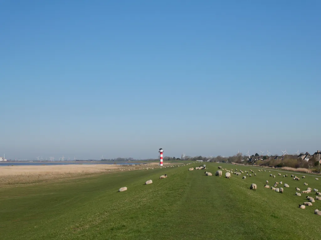 Wolkenloser Himmel, Leuchtturm in der Ferne und eine saftige grüne Wiese mit einer Schafsherde