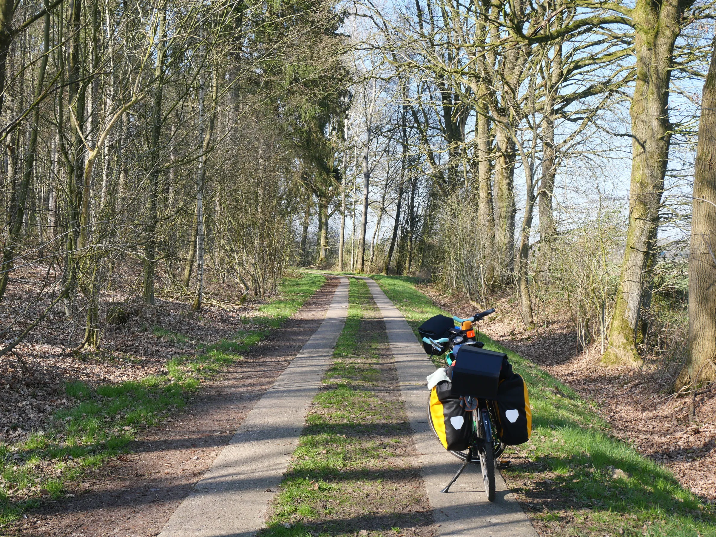 Mein Fahrrad steht auf einem Waldweg zwischen Bäumen