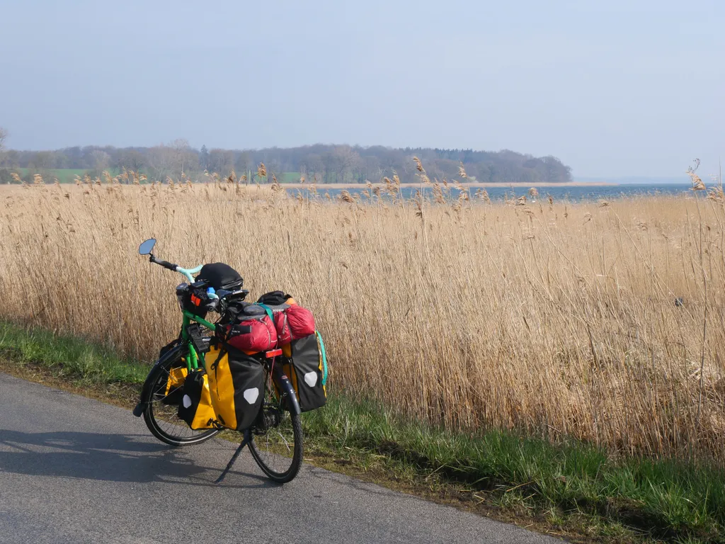 Mein Fahrrad auf der Straße vor hohem hellbraunen Gras an der dänischen Küste.