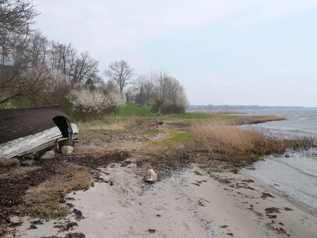 Ein zu einem Shelter umgebautes Boot mit einer Öffnung zum hineinkriechen an einem Sandstrand mit Bäumen im Hintergrund.