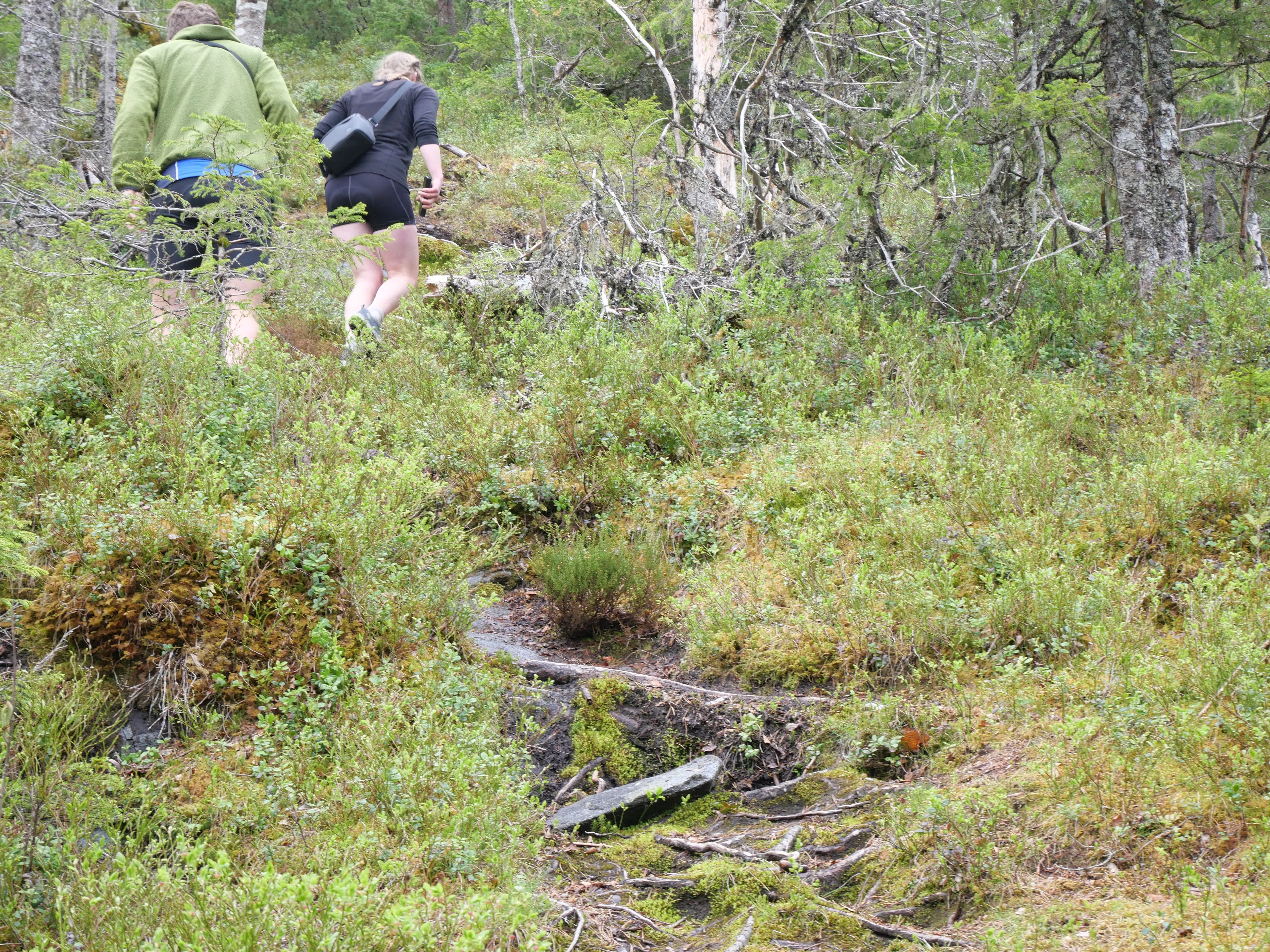 Laura und Julian wandern an einem steilen, dicht bewachsenen Pfad durch den Wald nach oben.